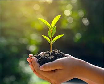 Sustainability Solutions